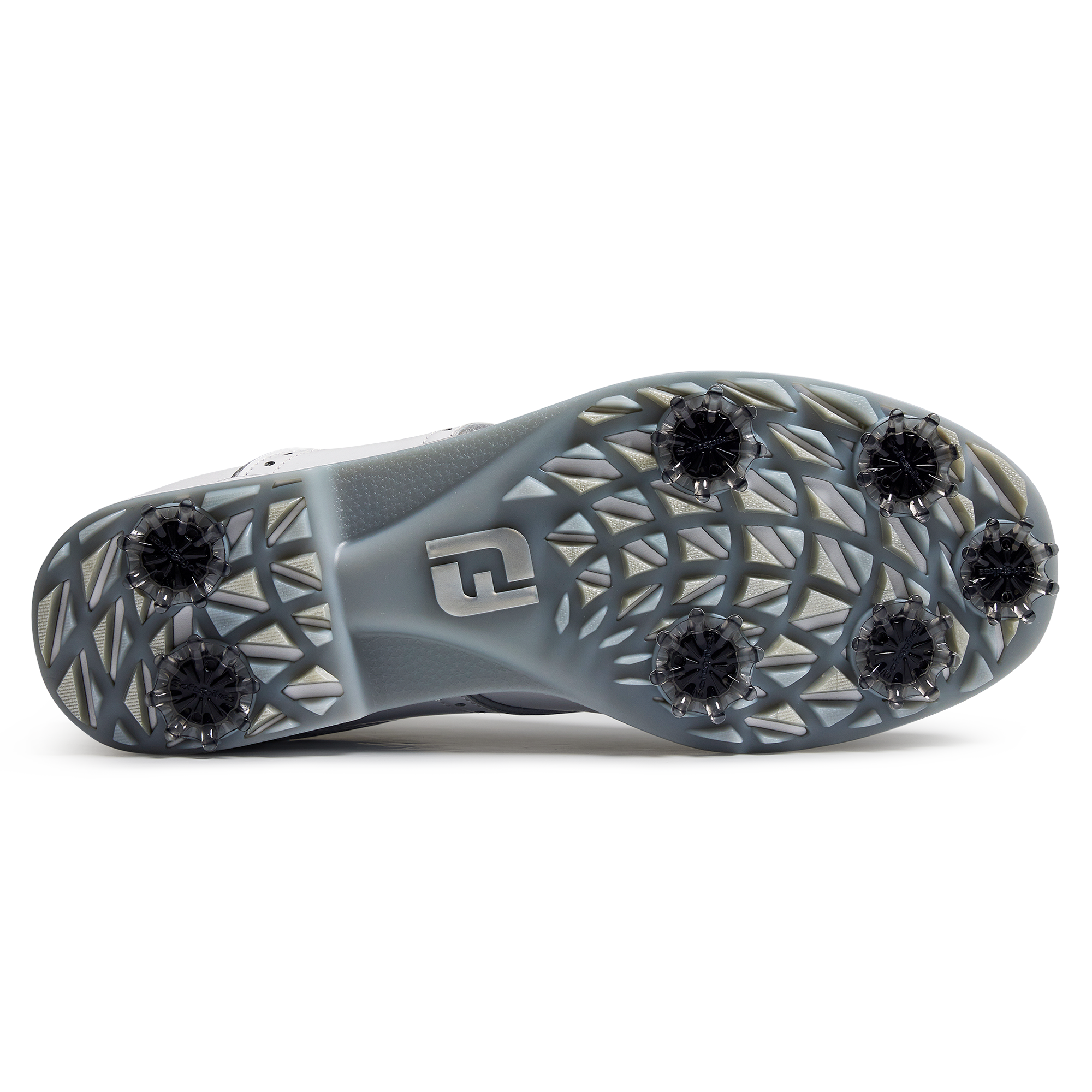 Premiere Series - Reflective Wilcox Women