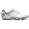 White / White / Silver