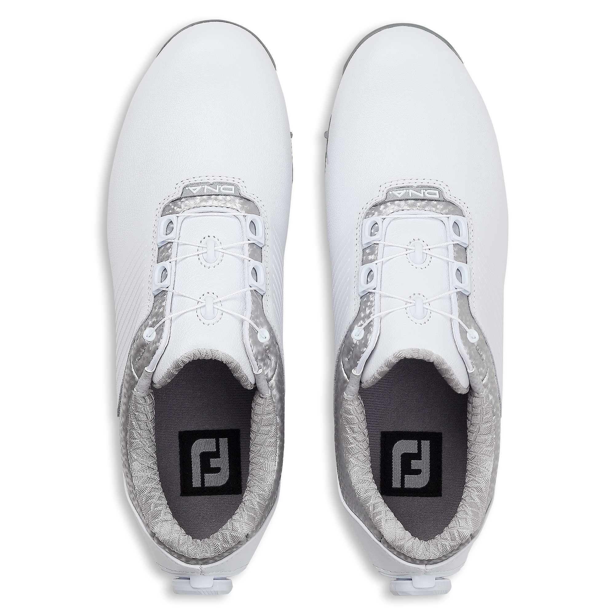 DNA 헬릭스 보아 여성