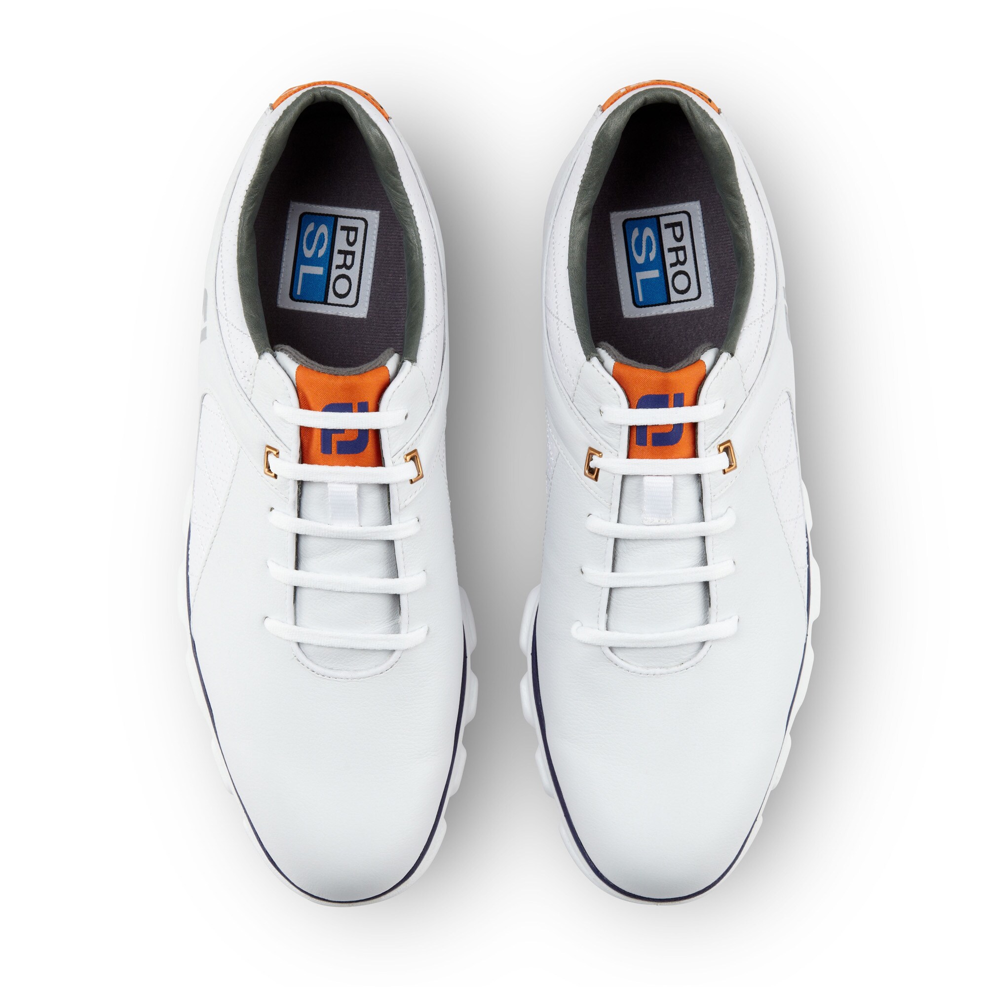 Pro/SL