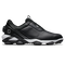Black/White/Silver