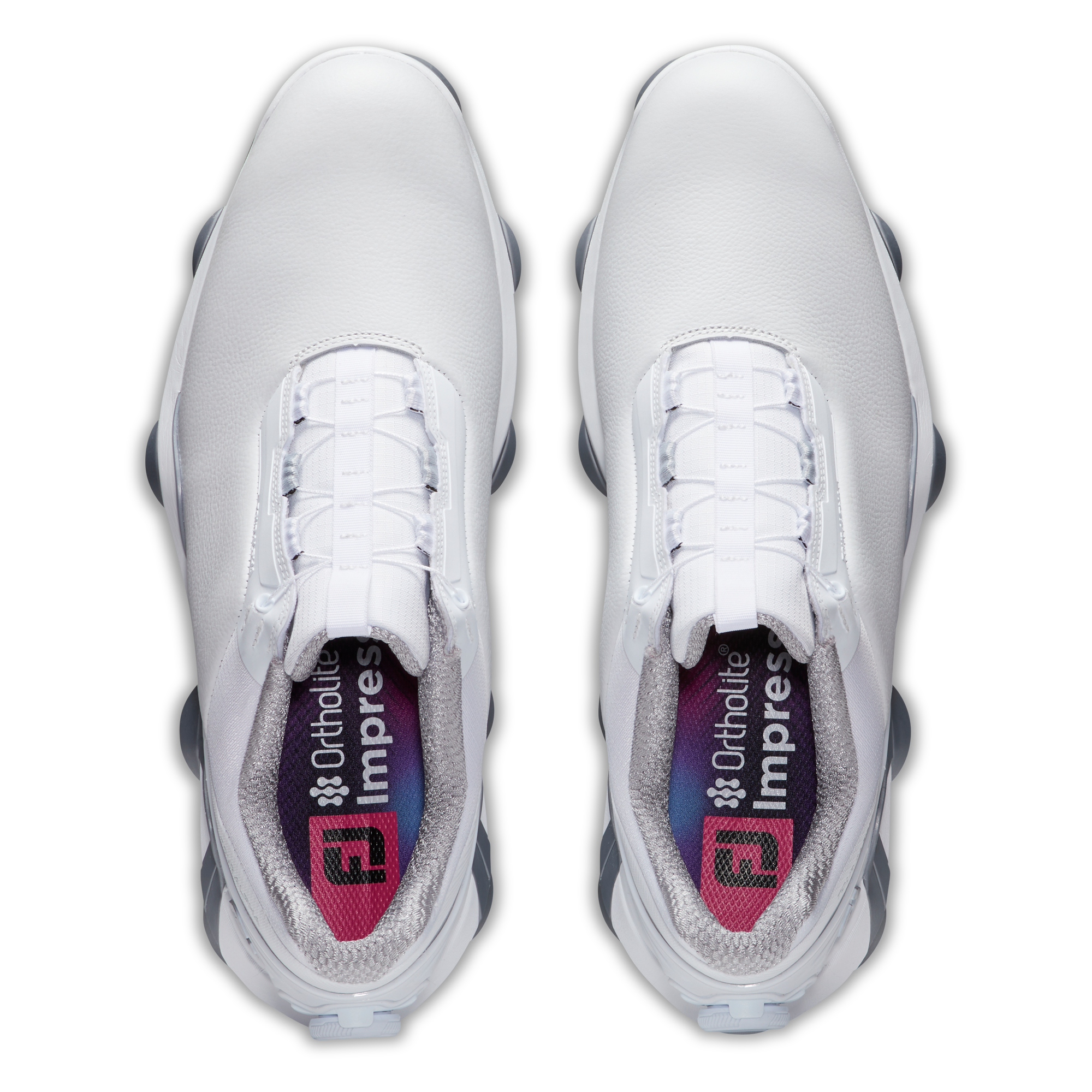 투어 알파 보아