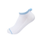 White / Light Blue