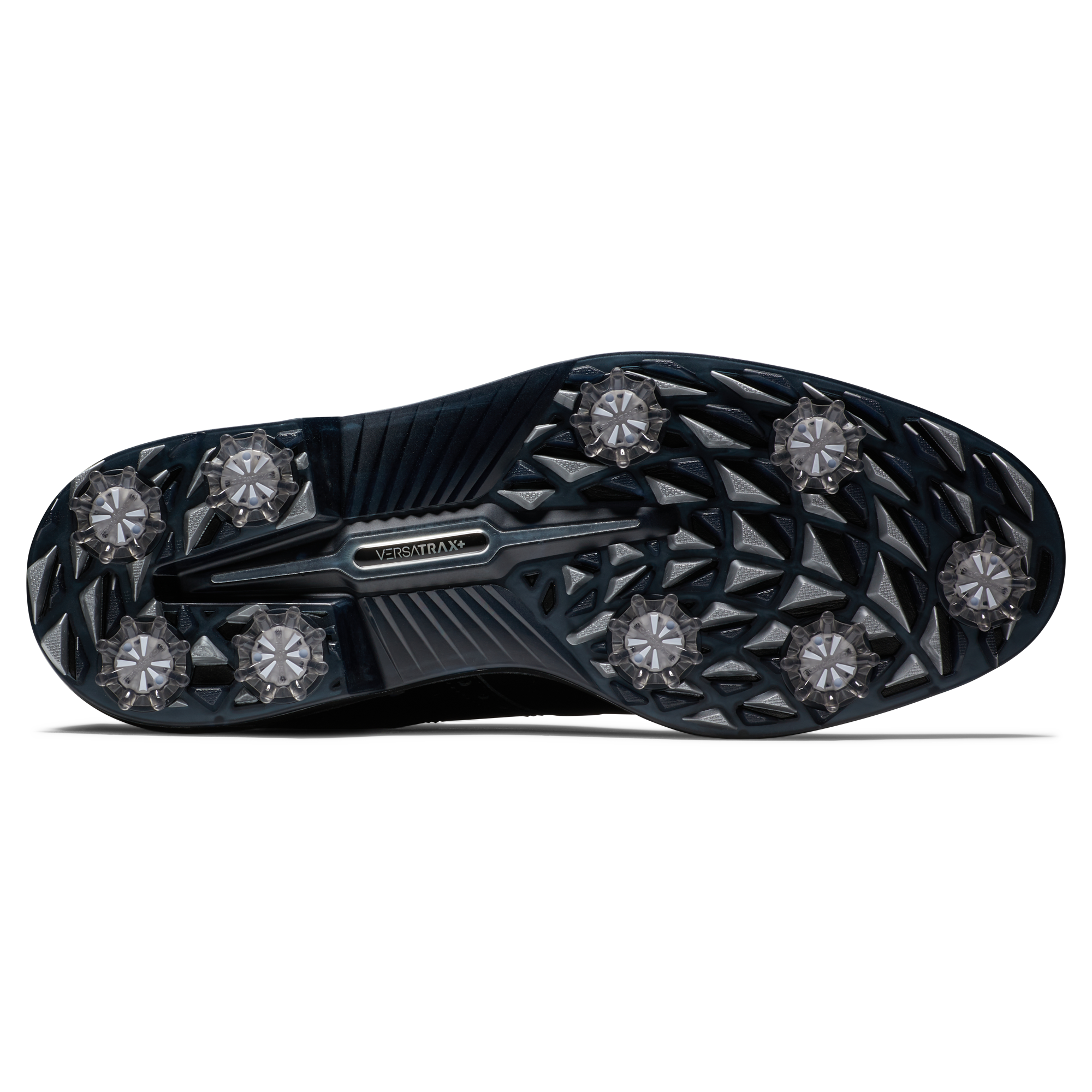 프리미어 시리즈 - 윌콕스