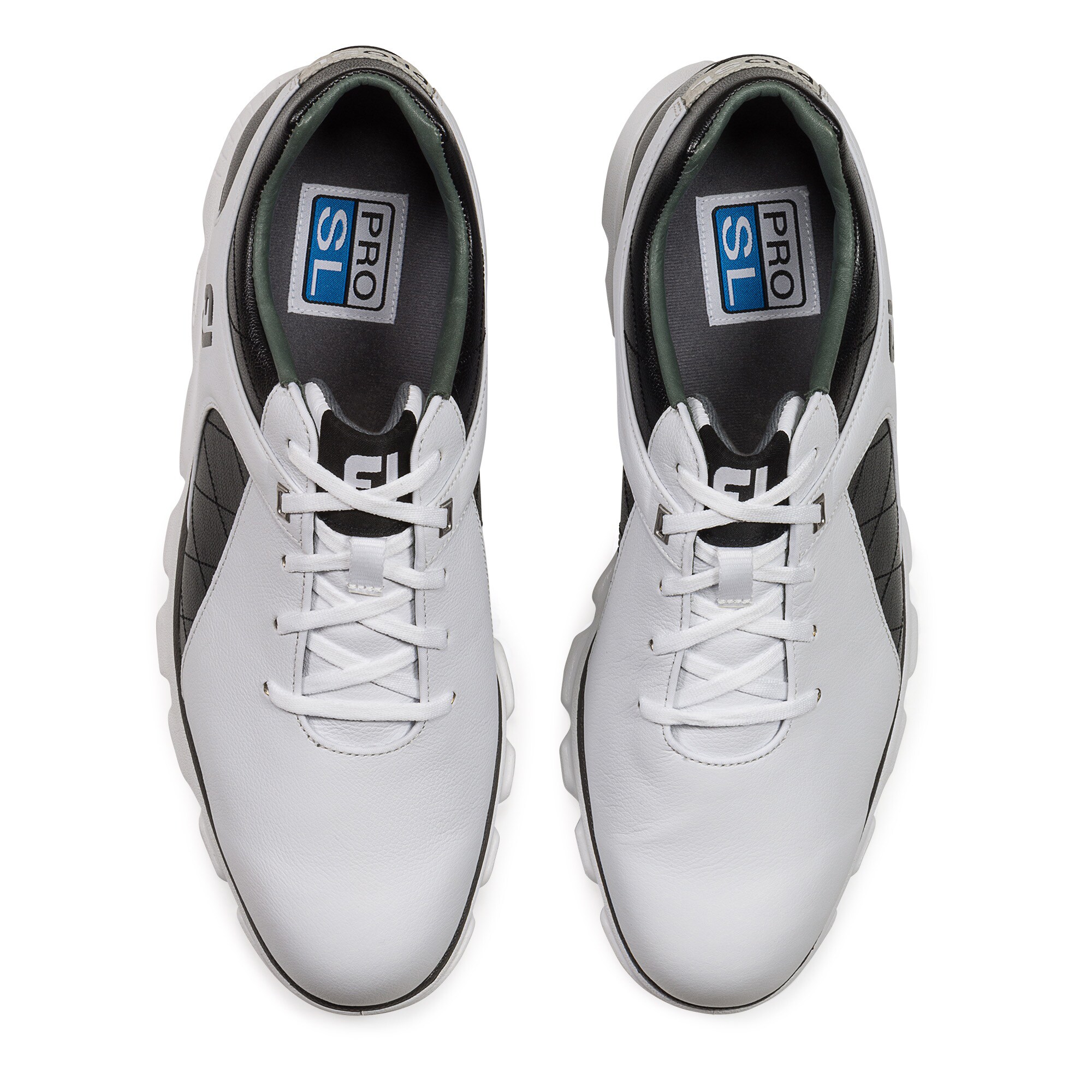 Pro/SL