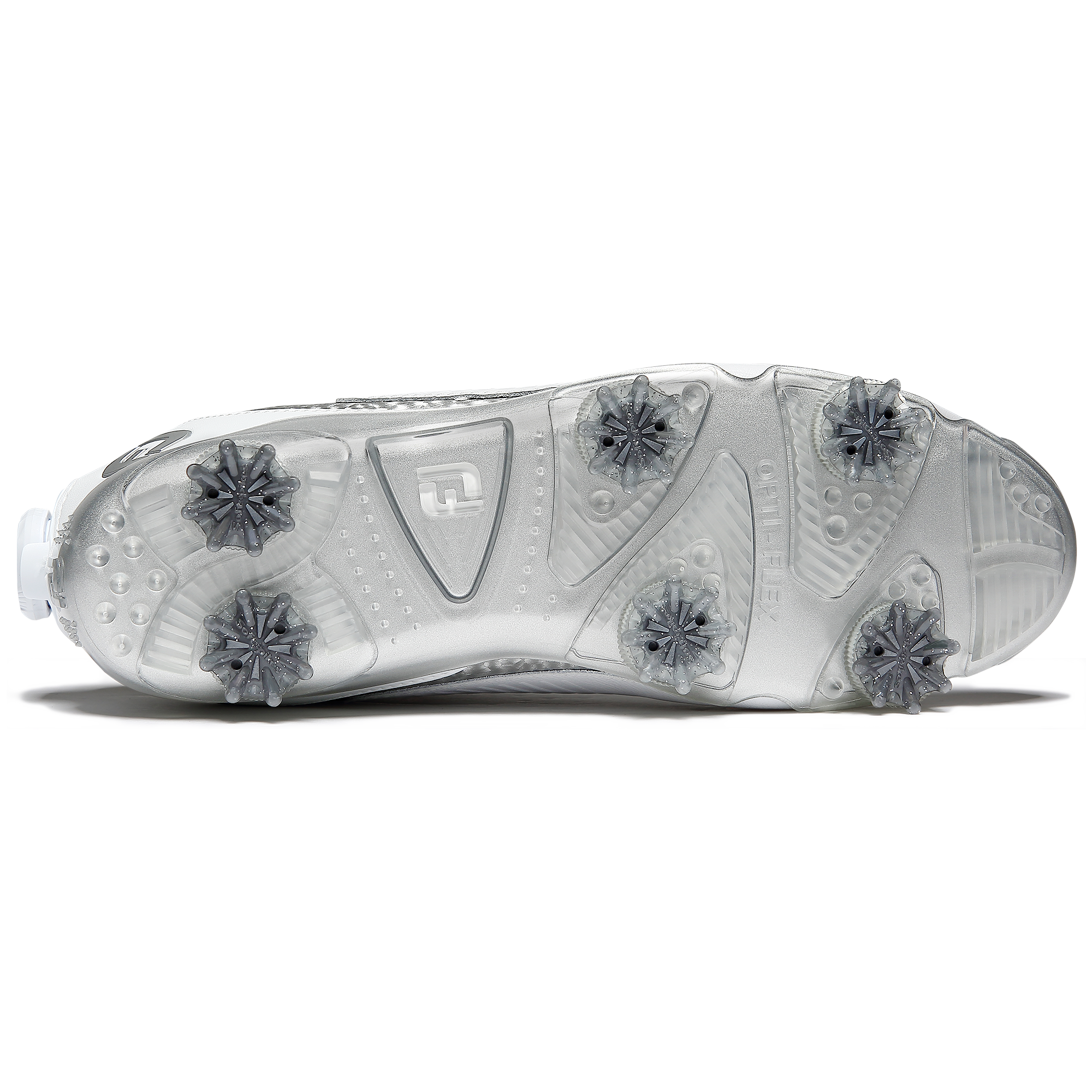 DNA 헬릭스 보아 여성