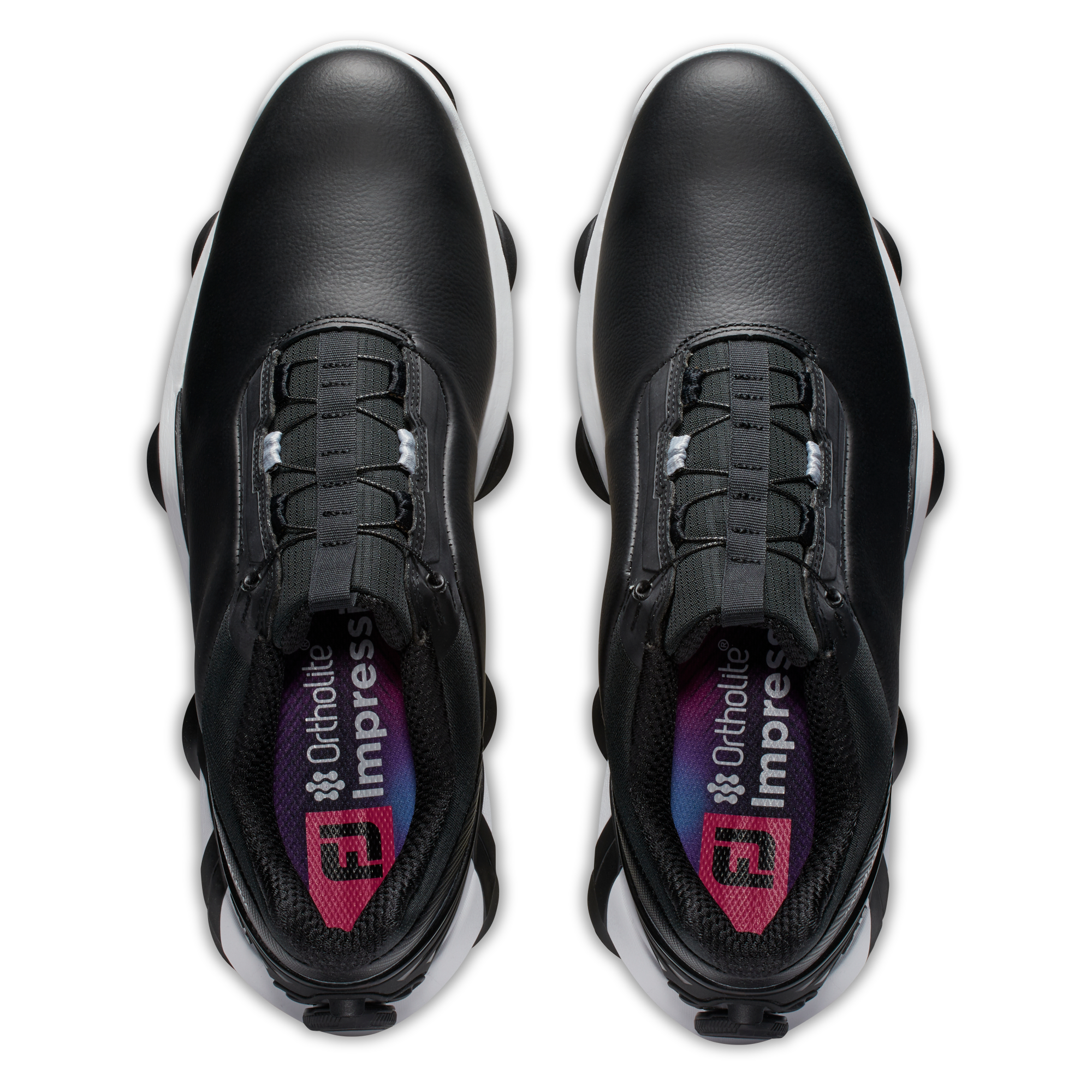 투어 알파 보아