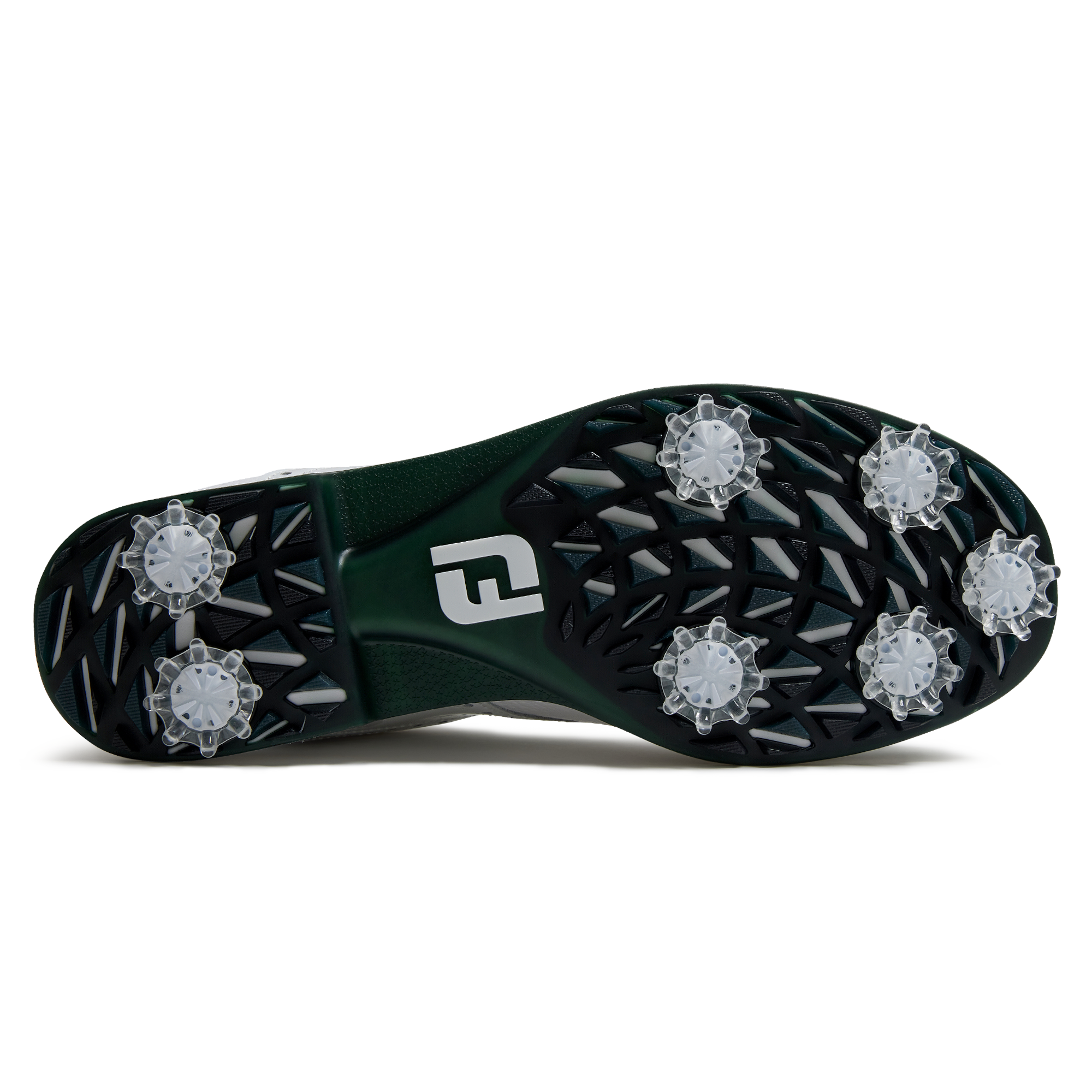 프리미어 시리즈 - 윌콕스 여성