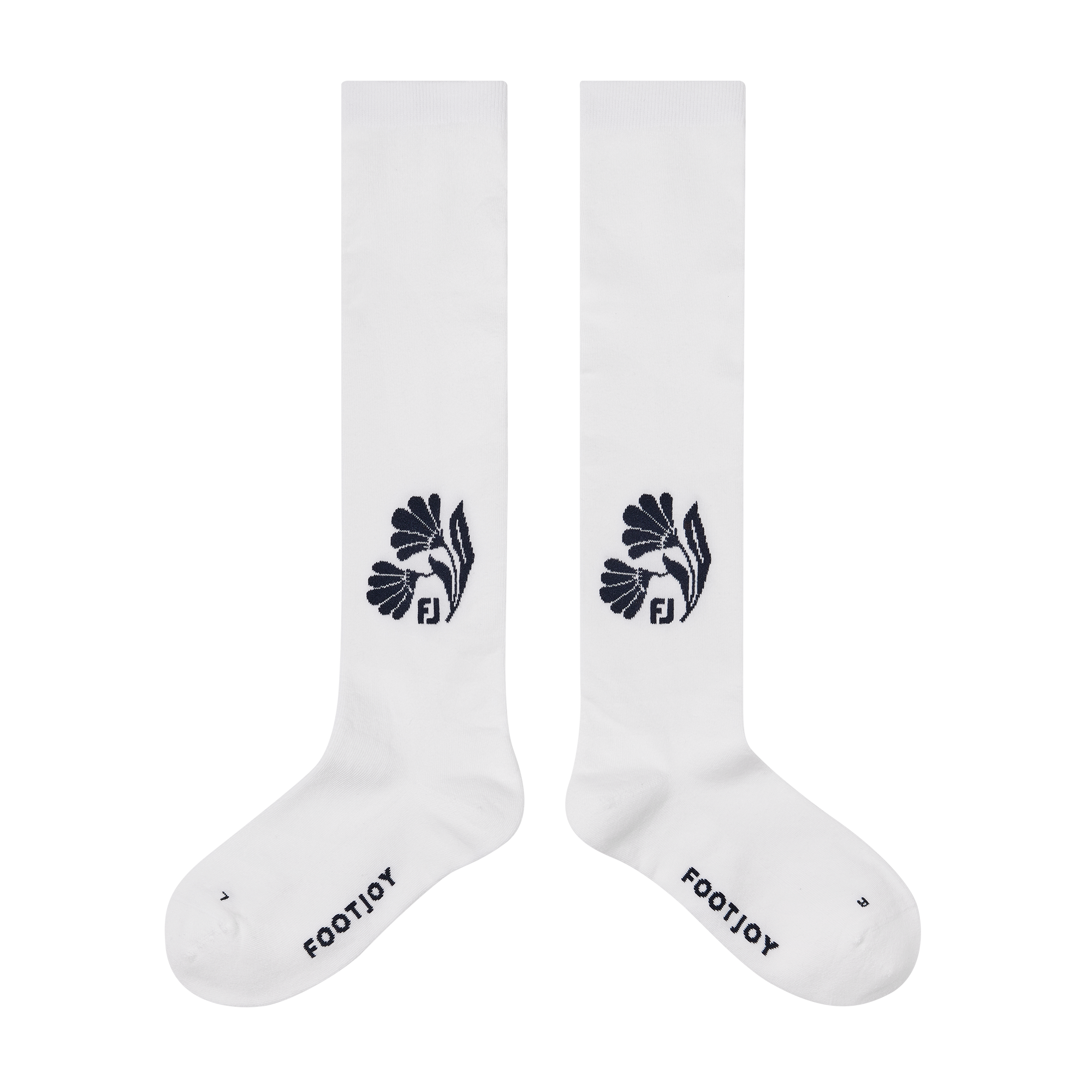 여성 패턴 니삭스