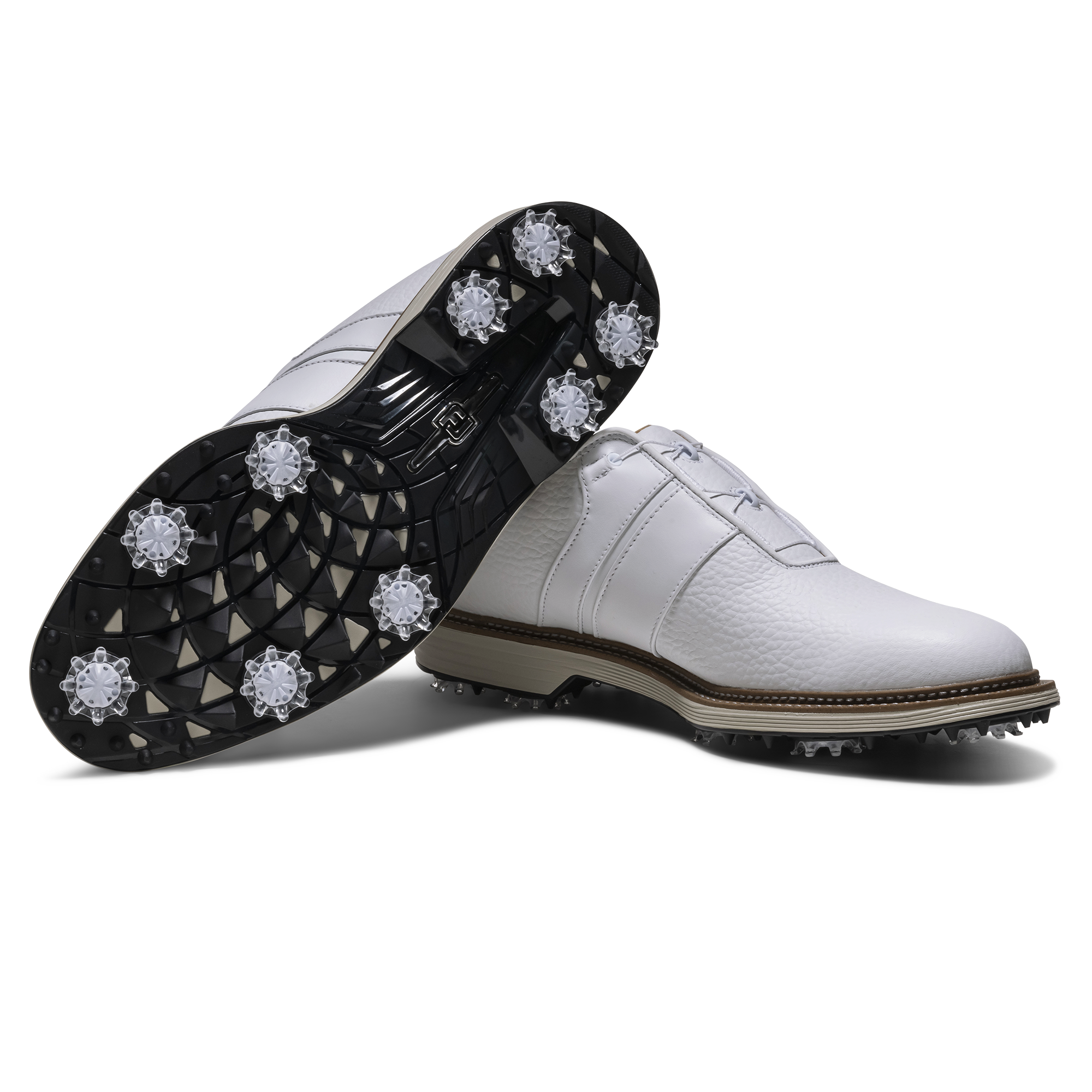 프리미어 시리즈 - 패커드 보아